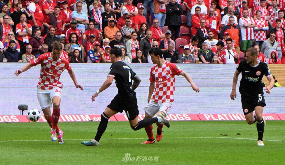 们在球场上 们在球场上