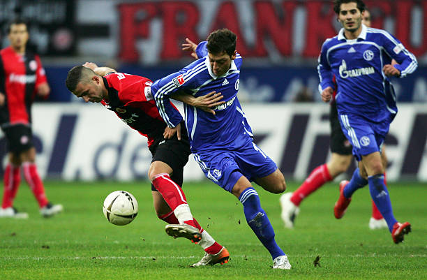 不仅体现了 不仅体现了